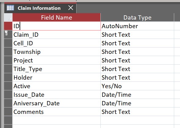 Access database claims table details